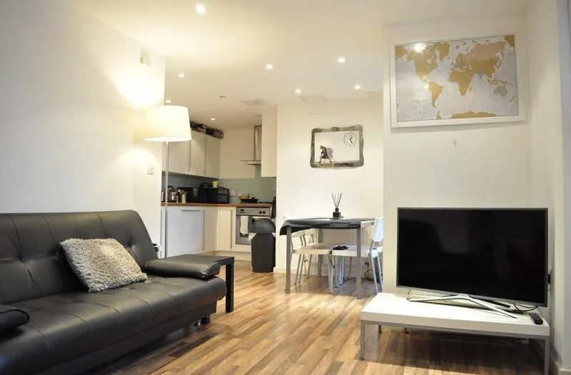 1 bedroom apartment for rent