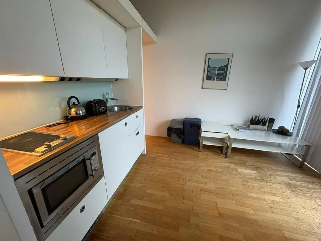 Studio flat for rent