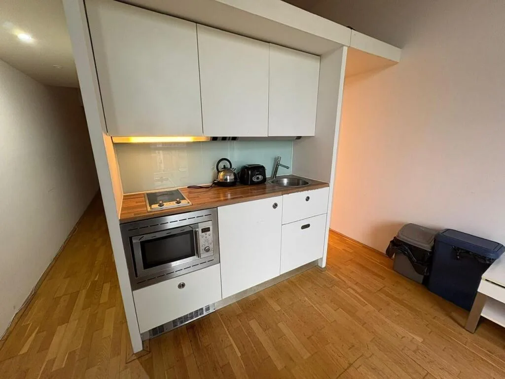 Studio flat for rent