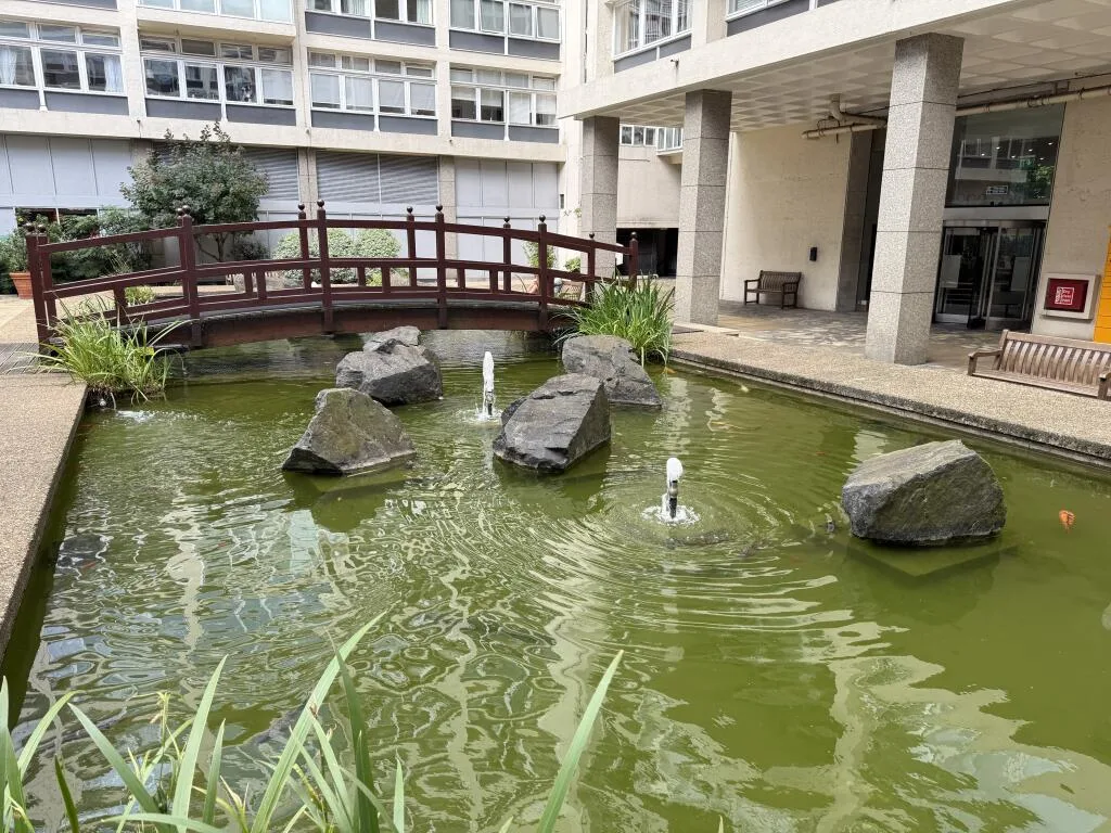 2 bedroom flat for rent