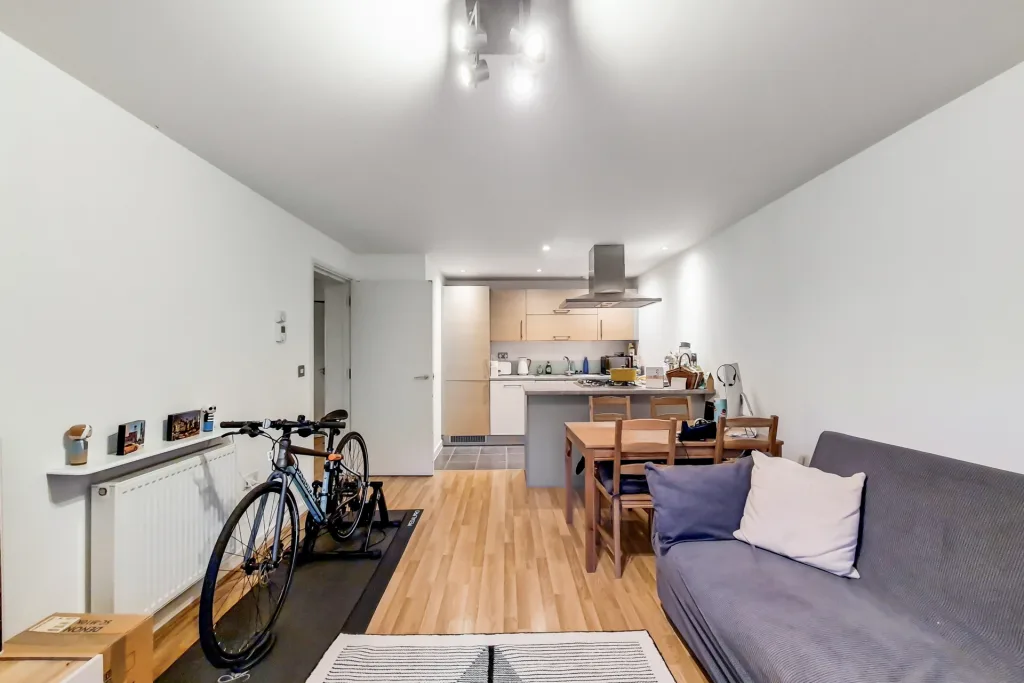 1 bedroom apartment for rent