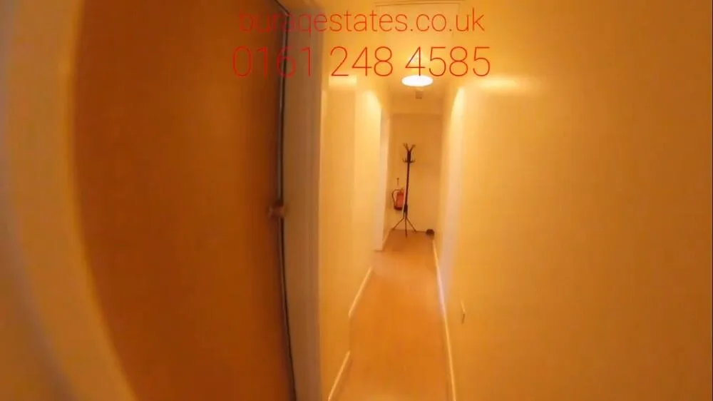 3 bedroom house for rent