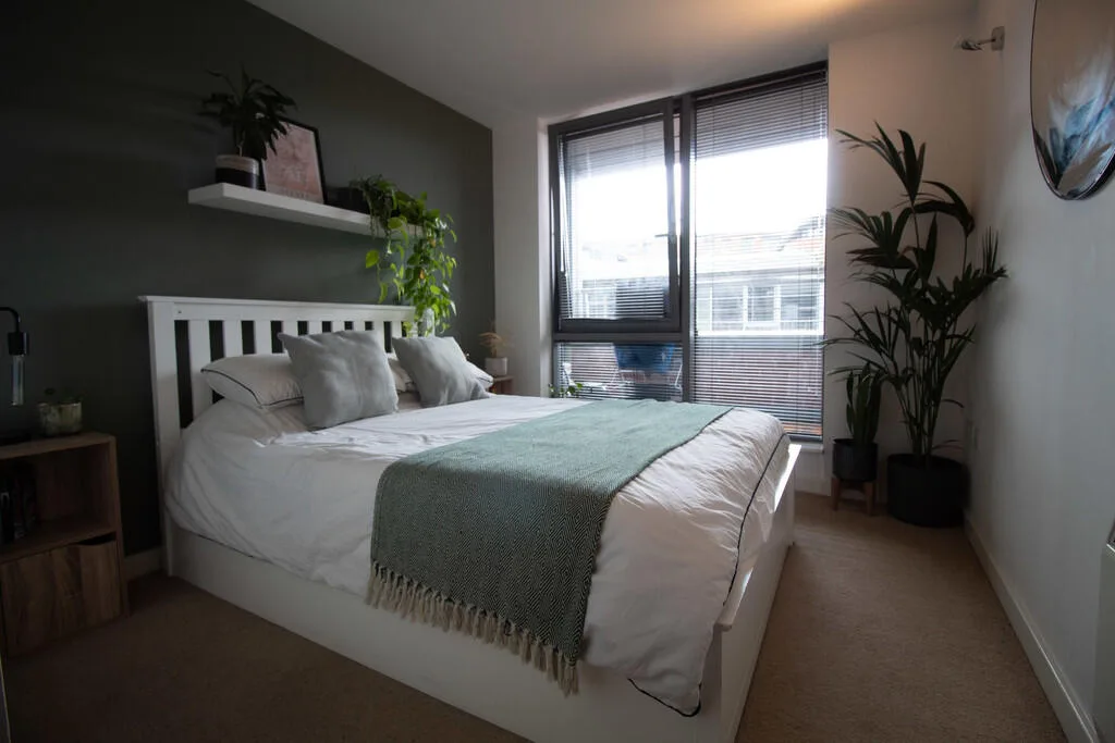 1 bedroom apartment for rent