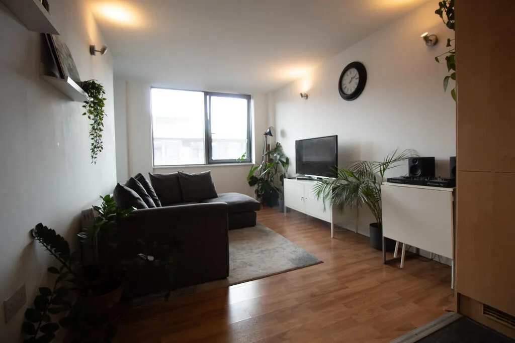 1 bedroom apartment for rent