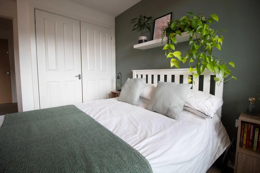1 bedroom apartment for rent