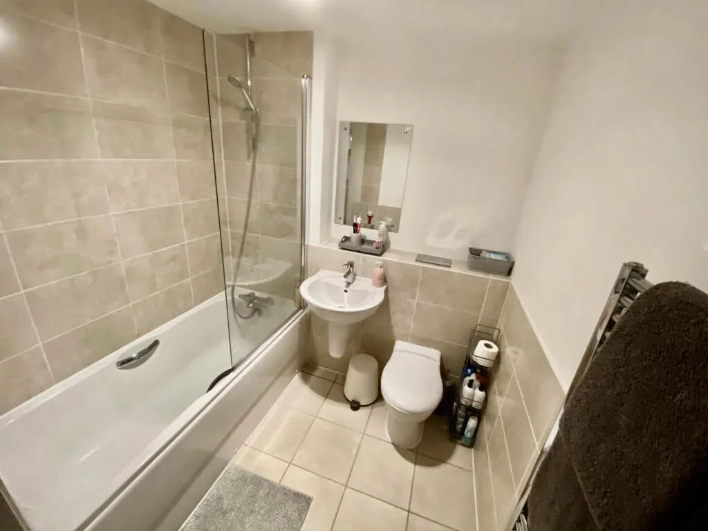 1 bedroom apartment for rent