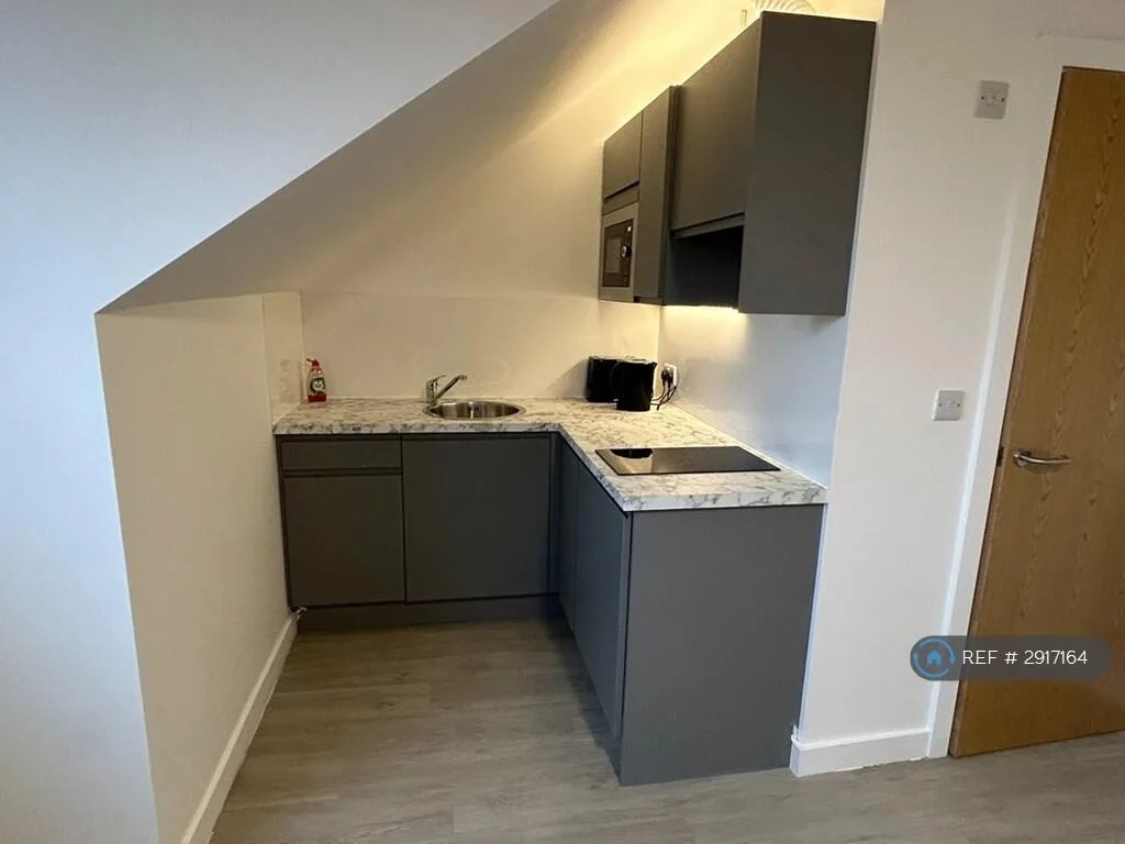 Studio flat for rent