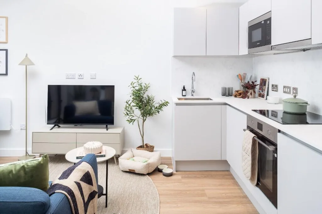 Studio flat for rent
