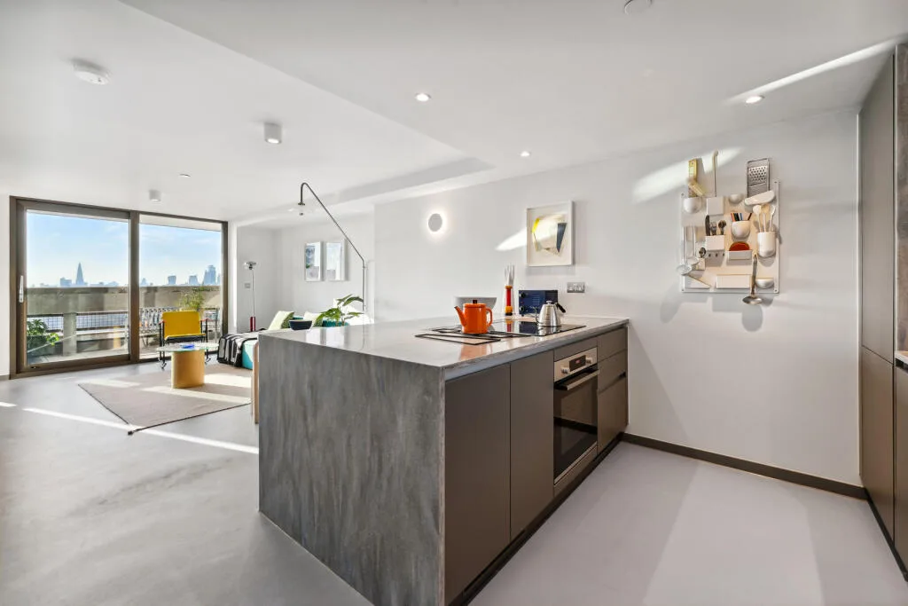 1 bedroom flat for rent
