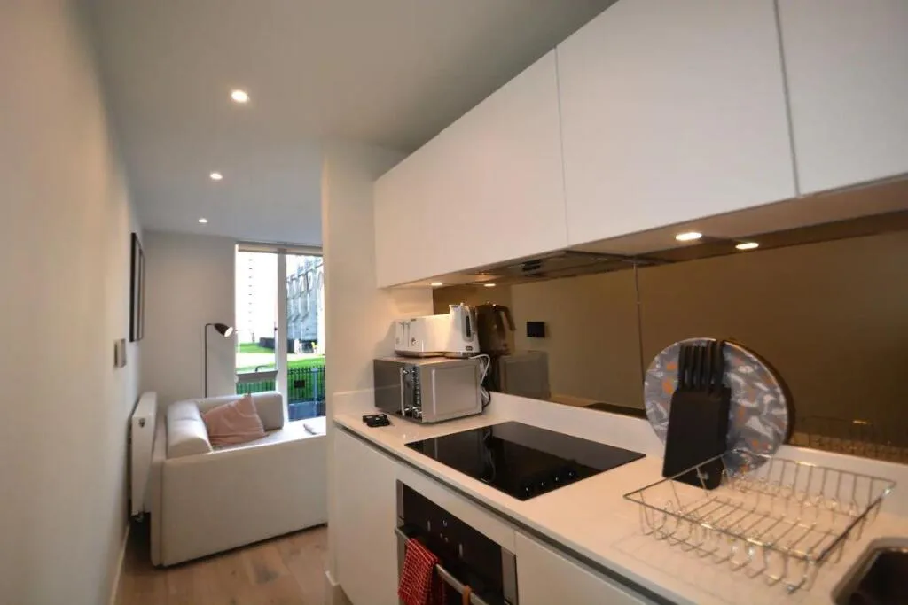 1 bedroom apartment for rent