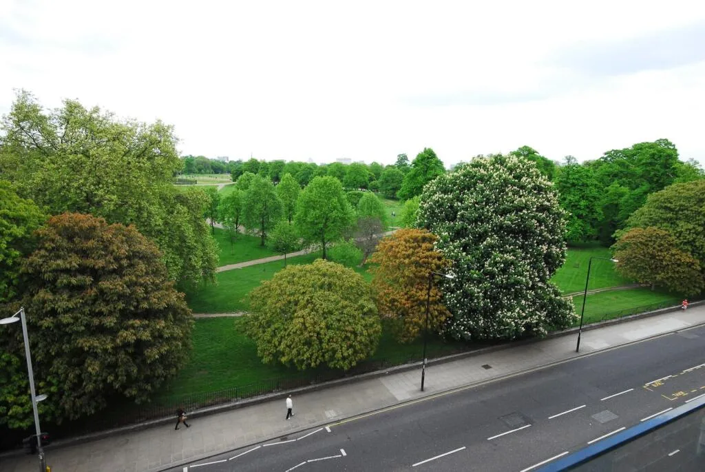 5 bedroom flat for rent