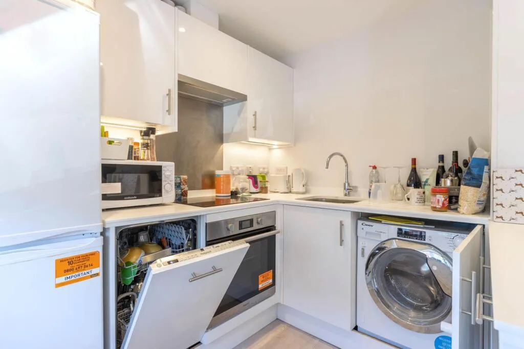 1 bedroom apartment for rent