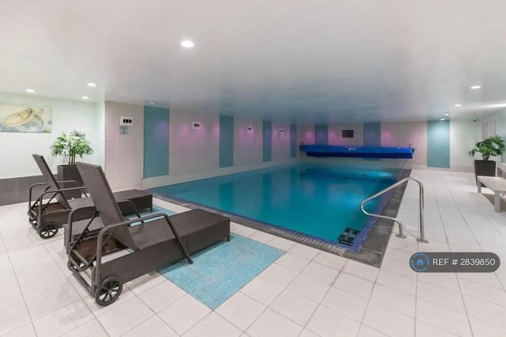 1 bedroom flat share for rent