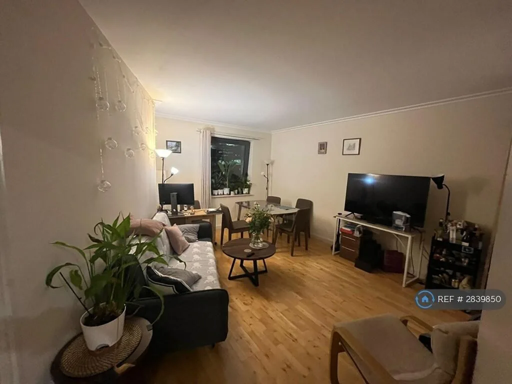 1 bedroom flat share for rent