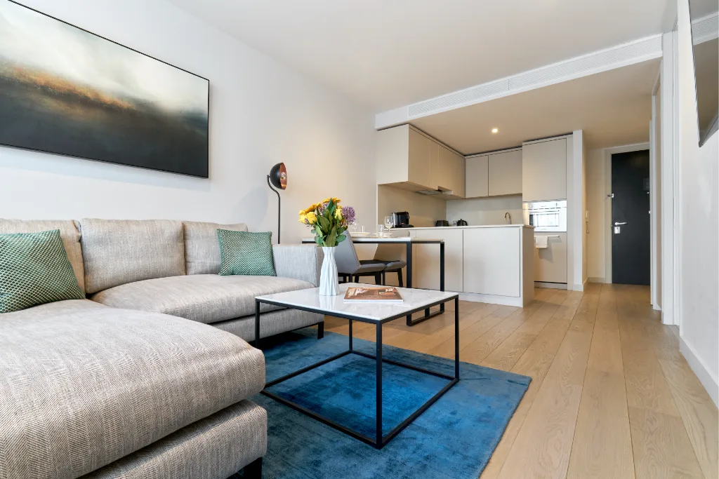 1 bedroom apartment for rent