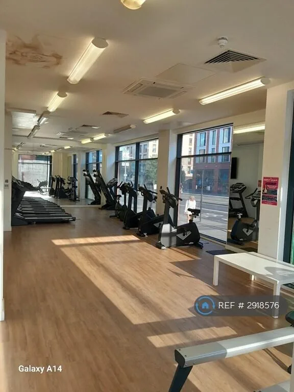 1 bedroom flat share for rent