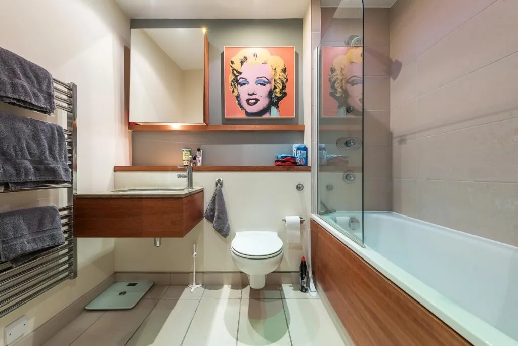 1 bedroom apartment for rent