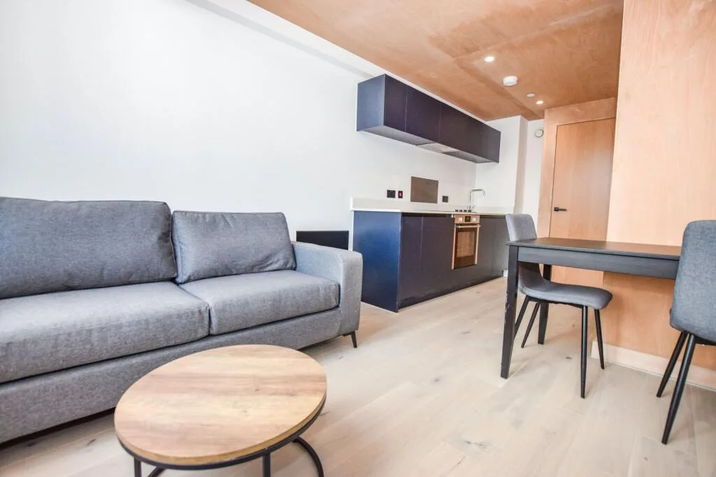 1 bedroom flat for rent