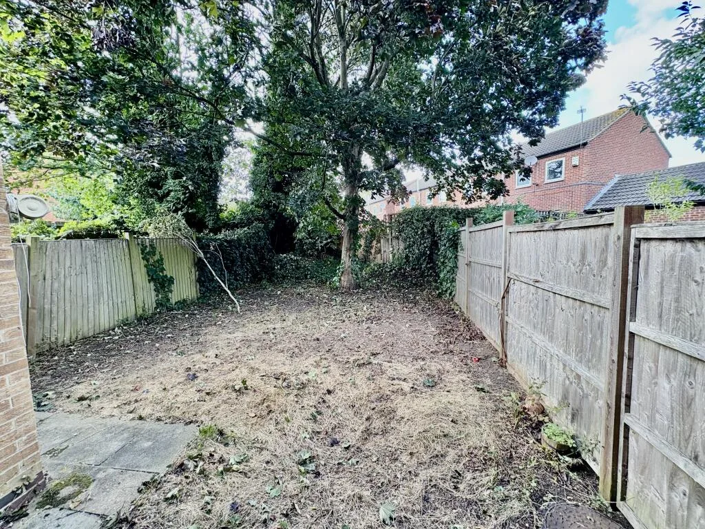 3 bedroom house for rent