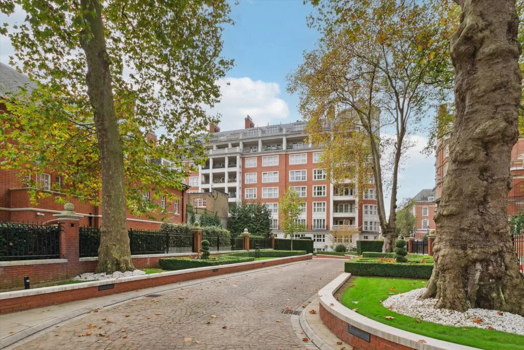 4 bedroom flat for rent