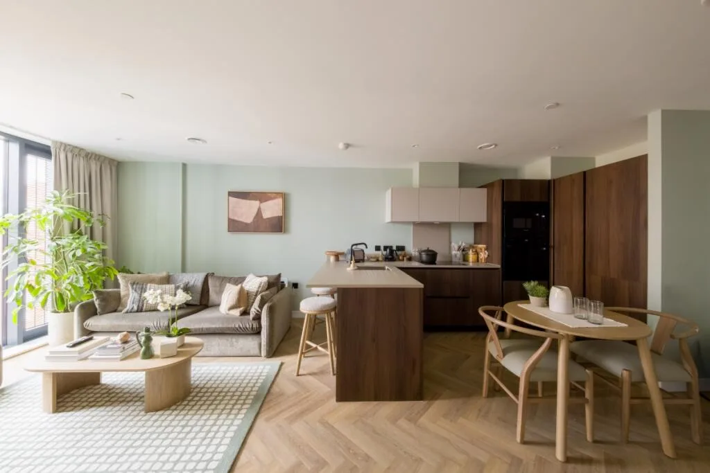 1 bedroom flat for rent