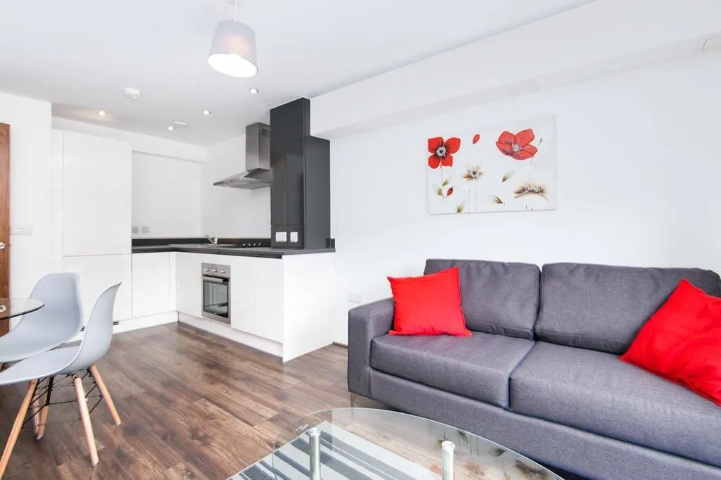 1 bedroom apartment for rent