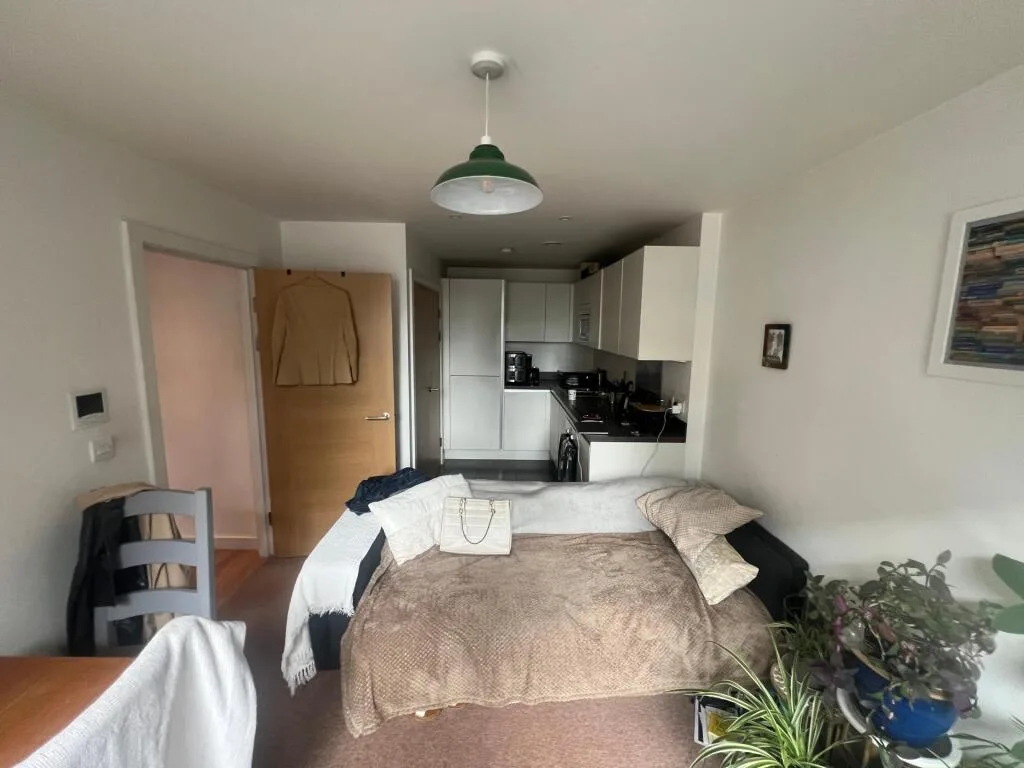 1 bedroom apartment for rent
