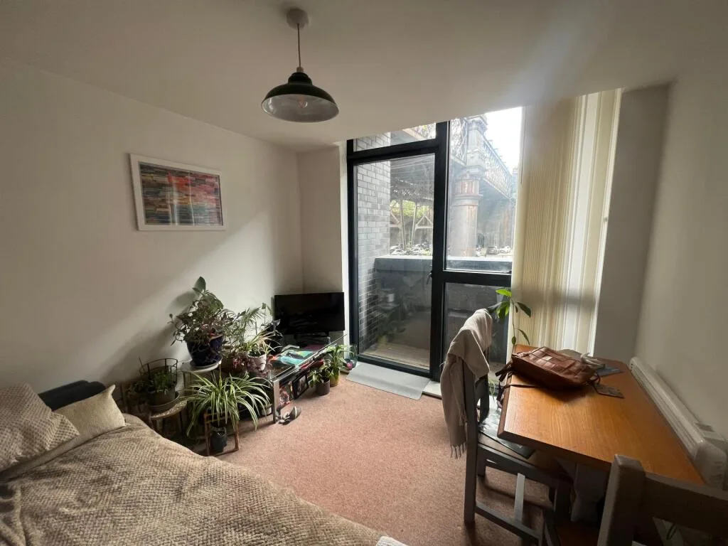 1 bedroom apartment for rent