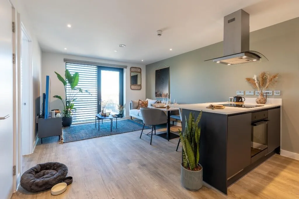 1 bedroom flat for rent