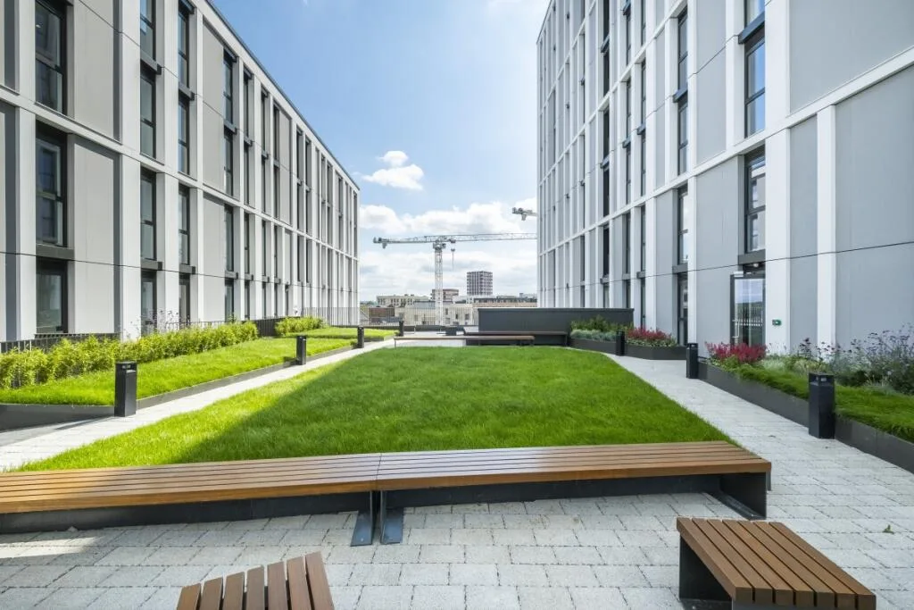 1 bedroom apartment for rent