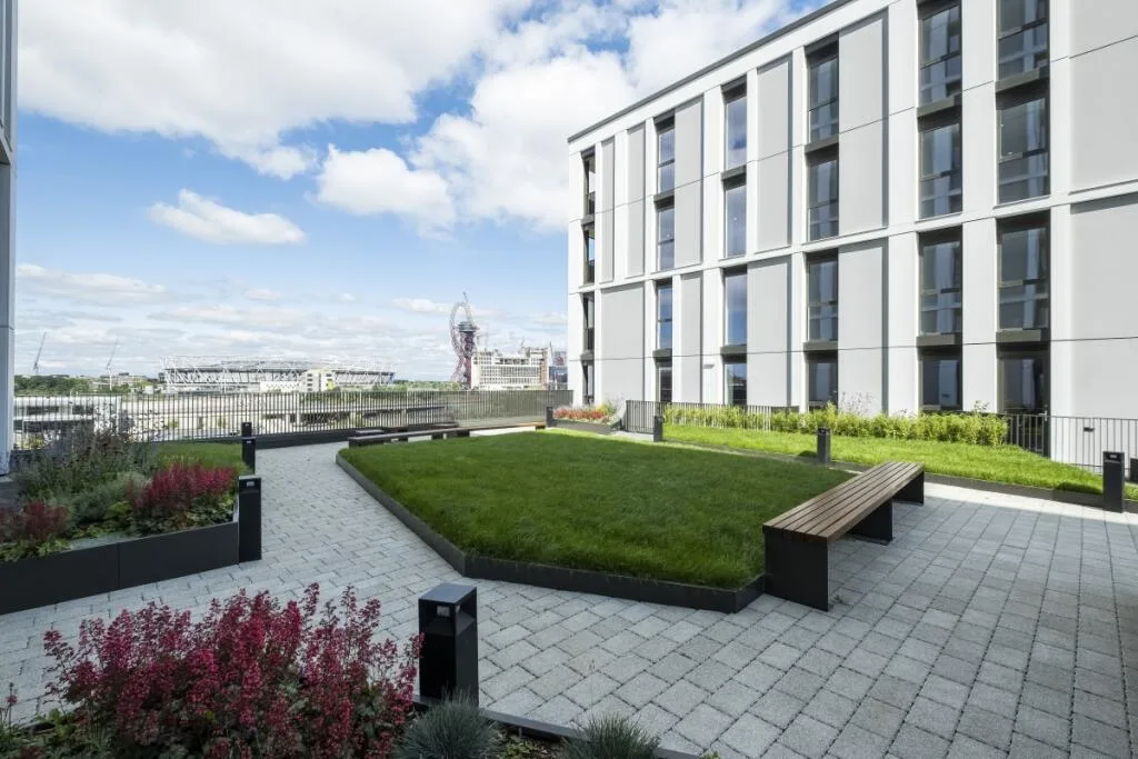 1 bedroom apartment for rent